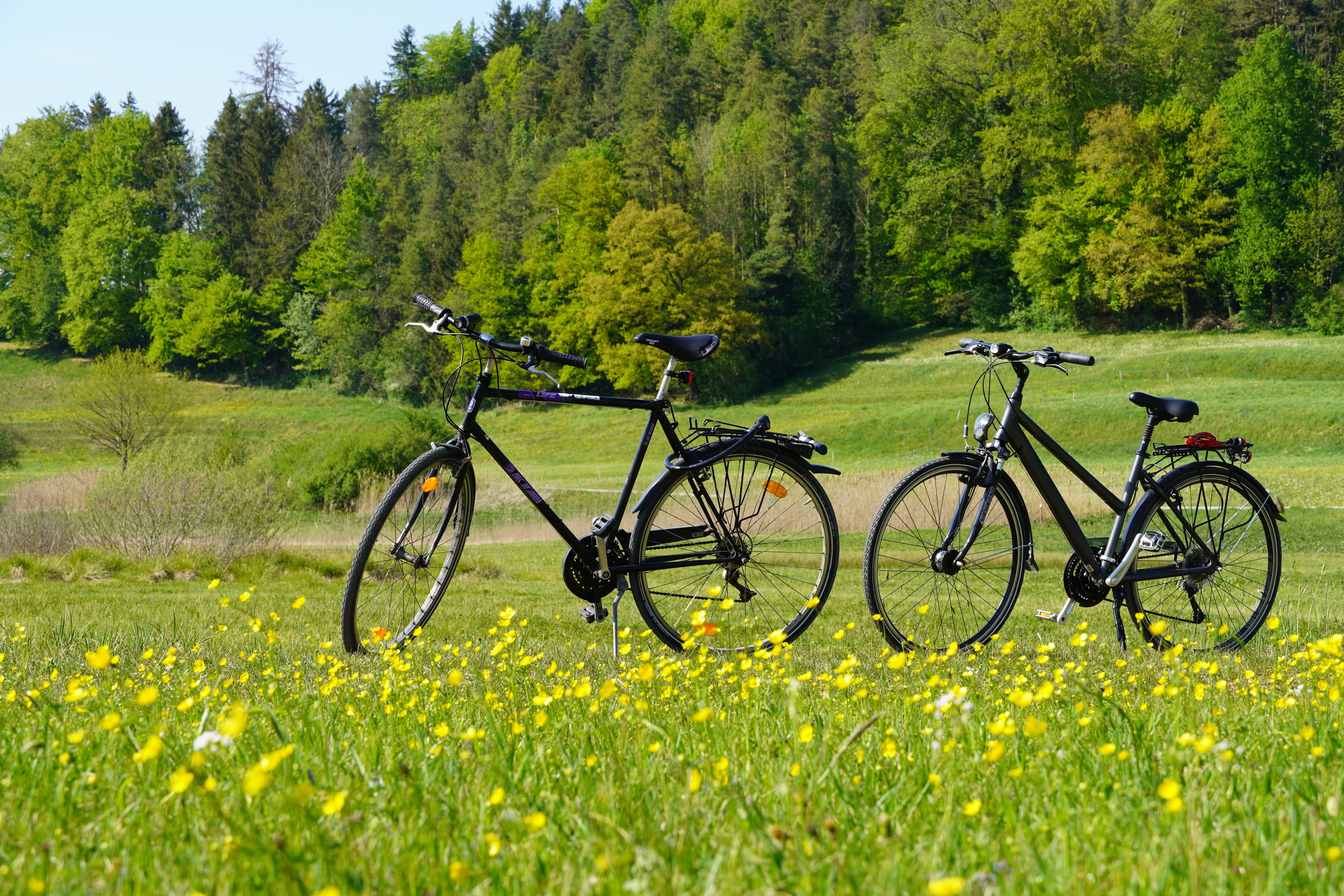 Fahrradurlaub Deutsche Fehnroute